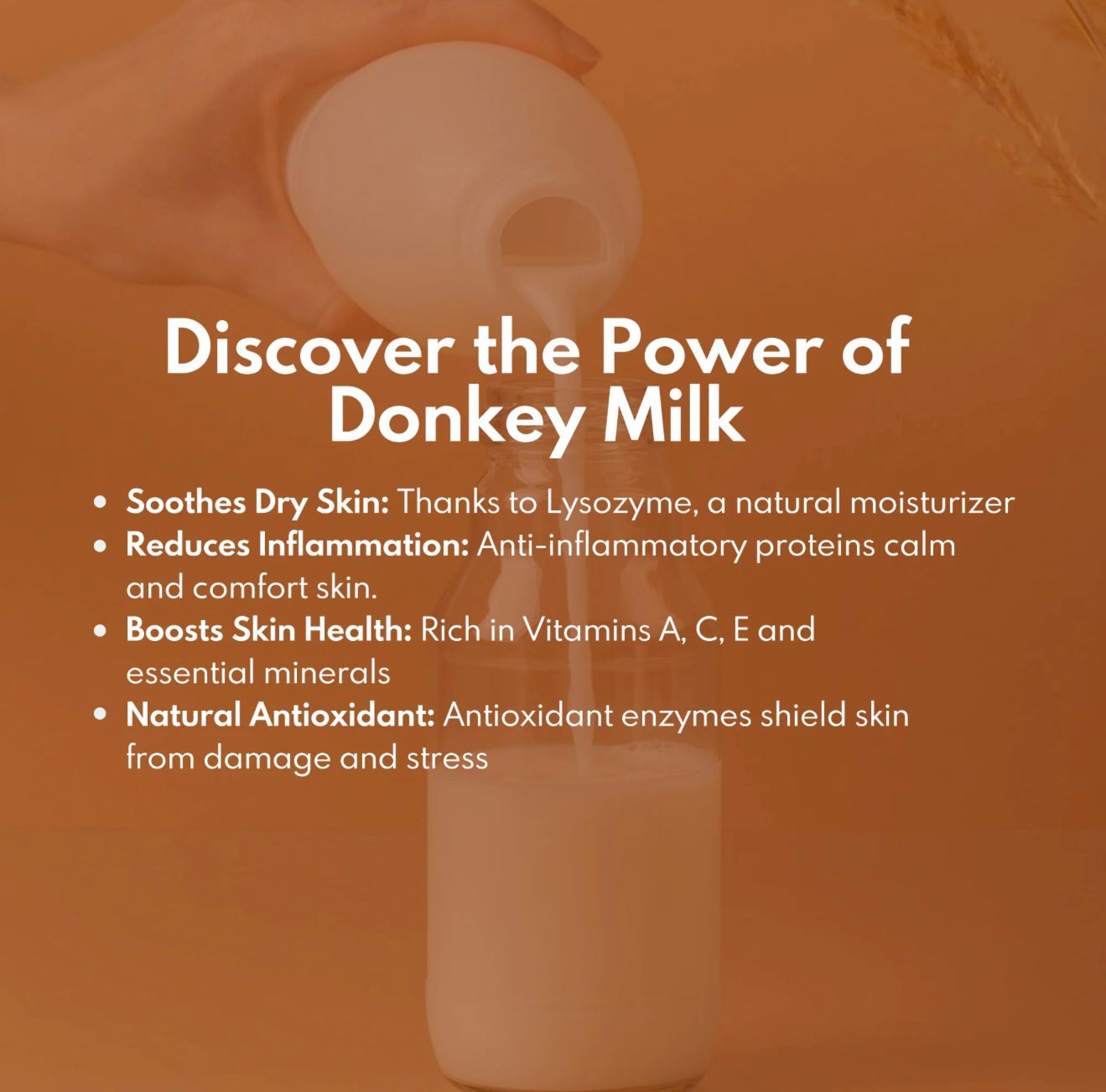 Kumkumadi + Donkey Milk Face Cleanser with Niacinamide & Saffron